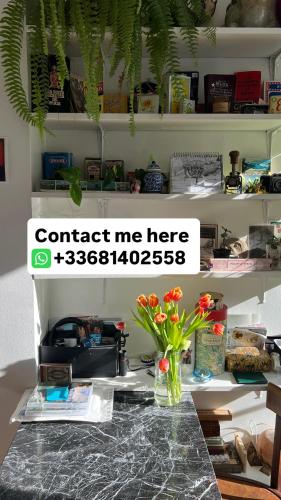 Very nice and cosy appartment in Belleville