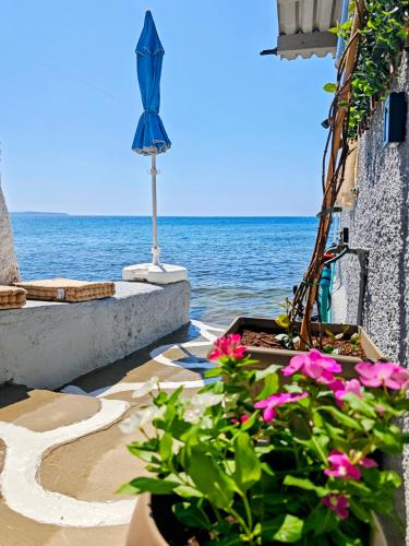 Nas proximidades, Anatoli - Beachfront House - Magical Sunrise Views - Chios in Agia Ermioni