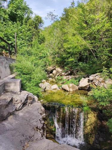Smokva Garden in Mojdež