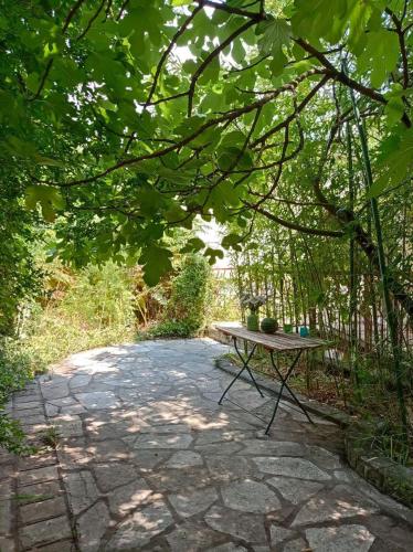 Smokva Garden in Mojdež
