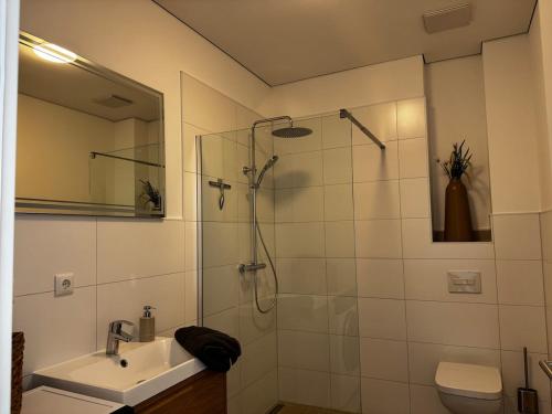 FeWo Singapore 3-Zimmer Wohnung mit Balkon am See in Gross Koris