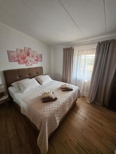 Licul Apartment