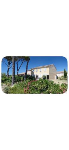 Canales Mas des vignes