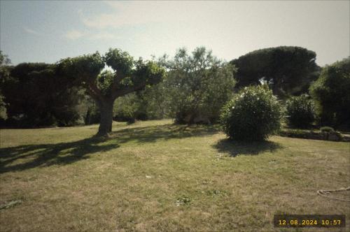 Maison de Vacances avec Jardin et Piscine