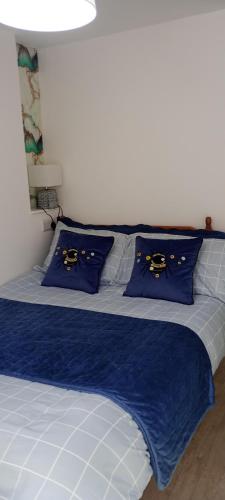 Small double self contained room central Torquay - image 3