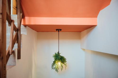 Tree House Cafe & Homestay in Tongluo Township