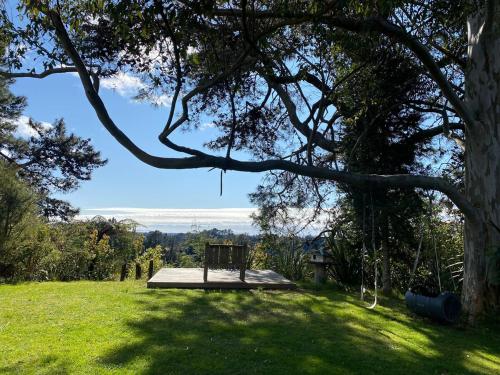 Skats, Tauranga Home - Swimming spapool in Omanawa