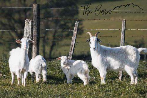 Carinya Farmstay in West Kentish