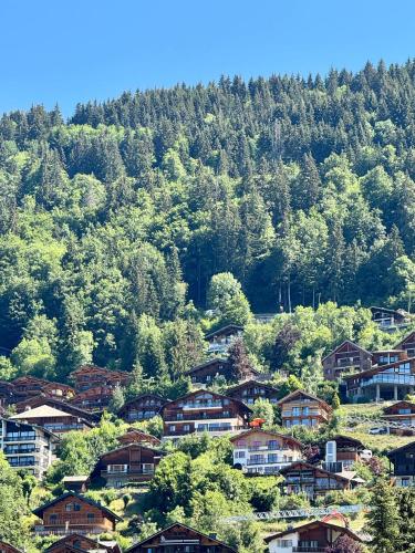 Grand Chalet Les 4 Vents, Morzine, vue sublime