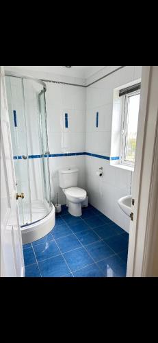 Duša, Spacious bungalow sleeps 10 in Llangyndeyrn