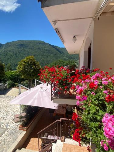 B&B Rox e Claudia in Configni (Rieti)