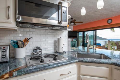 Point Pleasant Resort® 1BR Villa with Ocean Views in Smith Bay