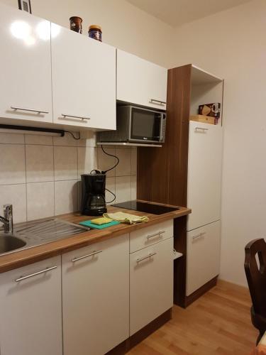 מטבח, Ferienwohnung - Apartment Pichlarn Irdning in איגן אים אנסטאל