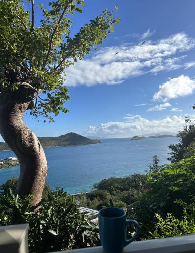 Point Pleasant Resort® 1BR Suite with Ocean Views in Smith Bay