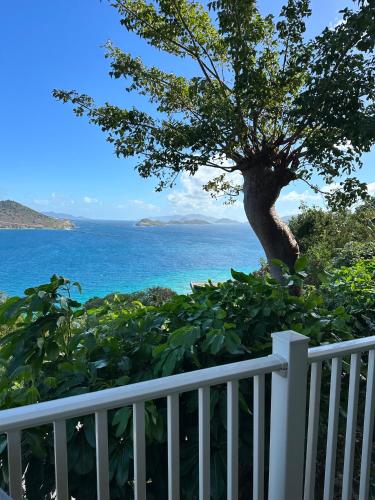 Point Pleasant Resort® 1BR Suite with Ocean Views in Smith Bay