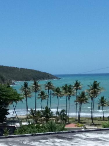 Iekārtas, Spacious Beachfront Escape at Playa Guayanes for Large Groups in Plaja De Gvajanesa