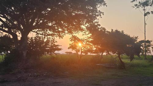 Murchison Falls Coffee Lodge in Karuma
