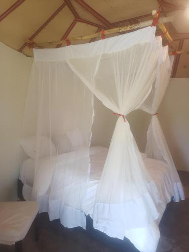 Murchison Falls Coffee Lodge in Karuma