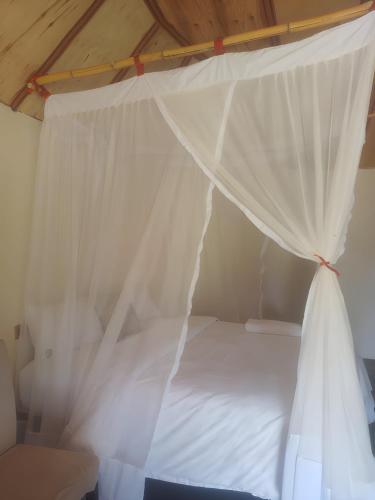 Murchison Falls Coffee Lodge in Karuma