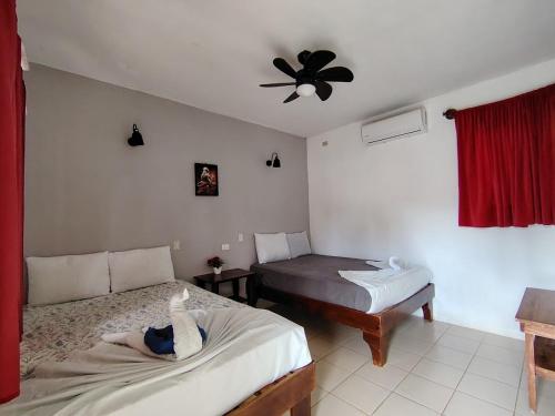 Ometepe House in Moyogalpa