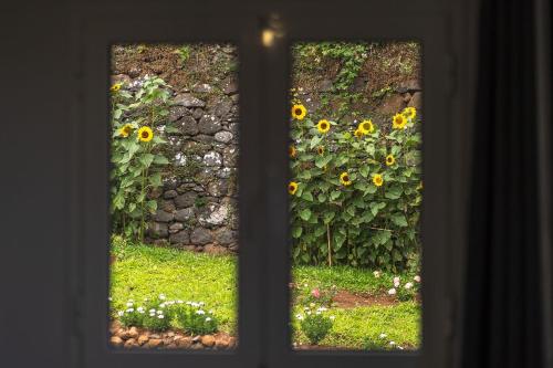 GuestReady-Charming Retreat with Patio & Views chambre d'hôte Ilhéus da Ribeira da Janela