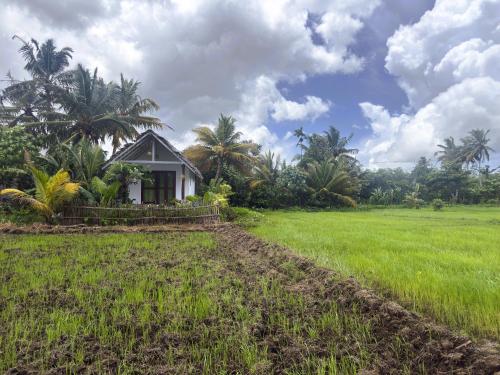 Crisp Air Villa - Ahangama - image 2