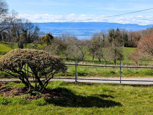 Skats, Authentique ferme savoyarde près d'Évian-Léman (Authentique ferme savoyarde pres d'Evian-Leman) in Larringes