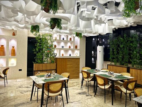 Amazonia Luxury