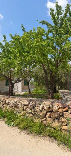Featured House Furnished Independent for Rent in Ajloun
