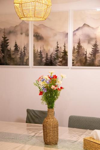 Iekārtas, Căsuța din poiană - Râu Sadului (Casuta din poiana - Rau Sadului) in Rau Saduluja