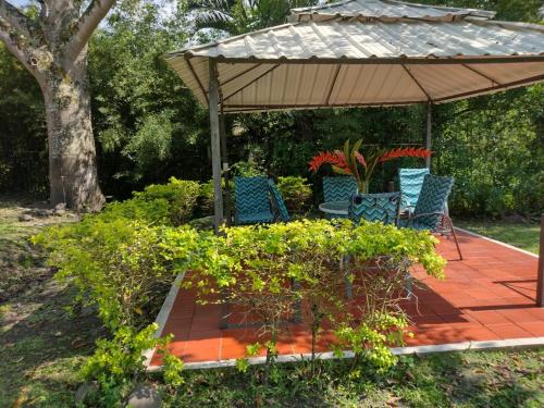 Finca Hotel Campestre Salitre Villeta in Villeta