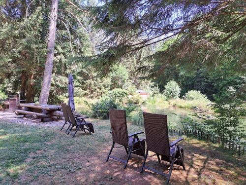 Apartment in a charming location on Forellenhof, Zorn Valley, Dabo