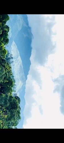 Misty Hill Land in เมปปาที