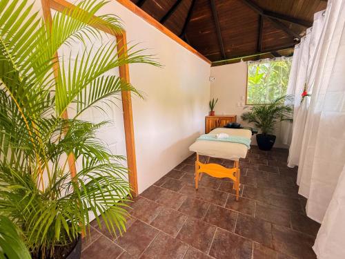 massage, El Clan Hostel in Puerto Viejo de Talamanca