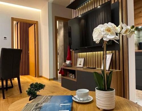 Apartmani Selić Zlatibor