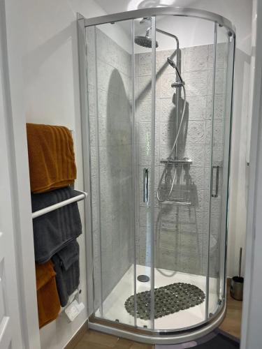Dušš, Studio 4 étoiles Sore 30 m² avec jacuzzi (Studio 4 etoiles Sore 30 m² avec jacuzzi) in Argelouse