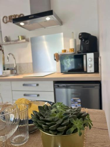 köök, Studio 4 étoiles Sore 30 m² avec jacuzzi (Studio 4 etoiles Sore 30 m² avec jacuzzi) in Argelouse