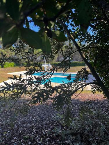 Hotelli välisilme, Studio 4 étoiles Sore 30 m² avec jacuzzi (Studio 4 etoiles Sore 30 m² avec jacuzzi) in Argelouse