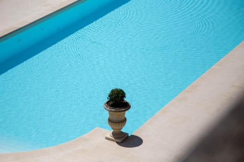 Swimming pool, Villa Cattani Stuart in Trebbiantico