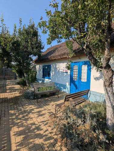 Θέα, The House of Flowers in Purcari