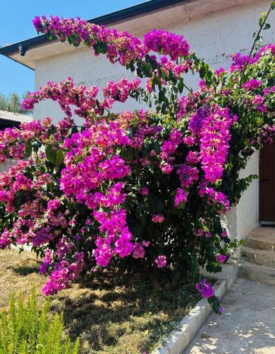 DaXeDu House in Zagora