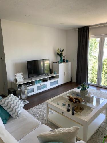 Apartment Siena AA