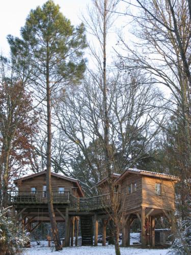 Les Cabanes du Tertre 3