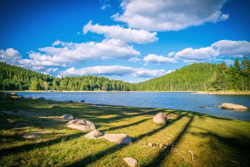 Romantica Forest Holiday Village - image 11