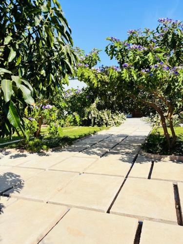 Bougainvillea House in Singida