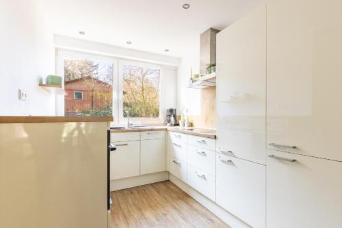 virtuve, Schemder Bergmark in den Dammer Bergen in Steinfeld (Oldenburg)