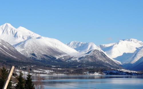 Tindelykke Tindelykke