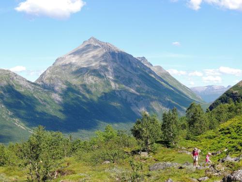 Tindelykke Tindelykke