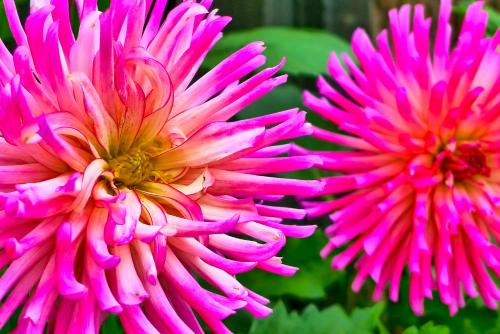 格兰纳万汽车旅馆