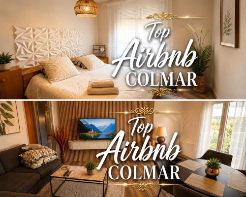 Coup de cœur à Colmar Appartement en plein centre